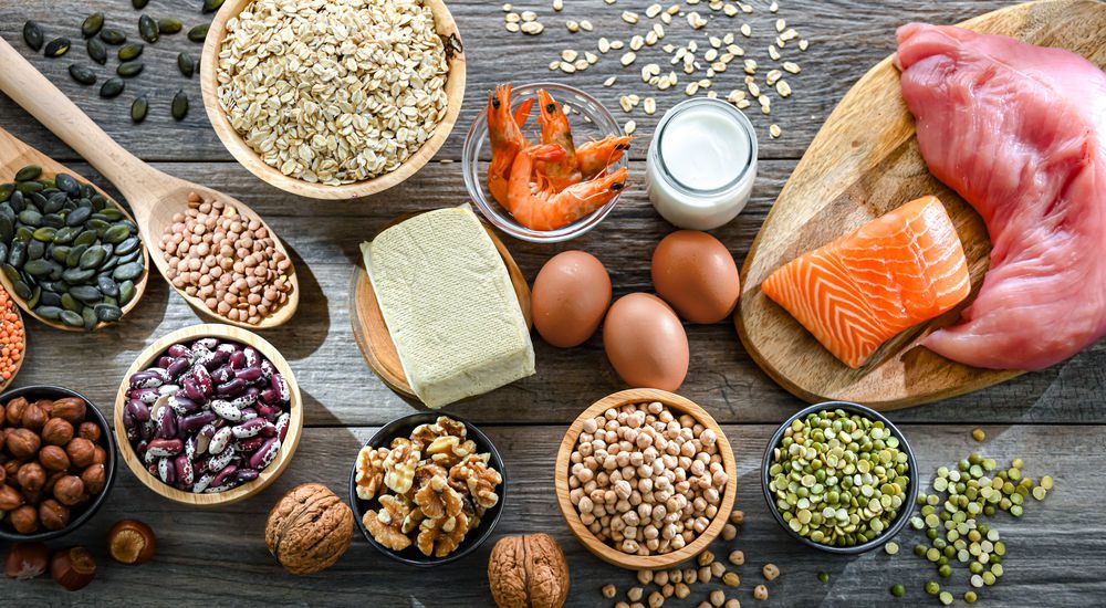 Aliments riches en protéines